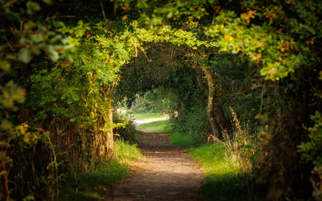 Coast to Coast cycling route UK